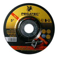 Pegatec Slipskiva 125 x 6 x 22.23mm